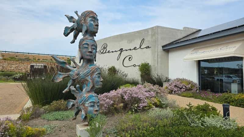 Billet Hermanus : Observation de baleines et dégustation de vin