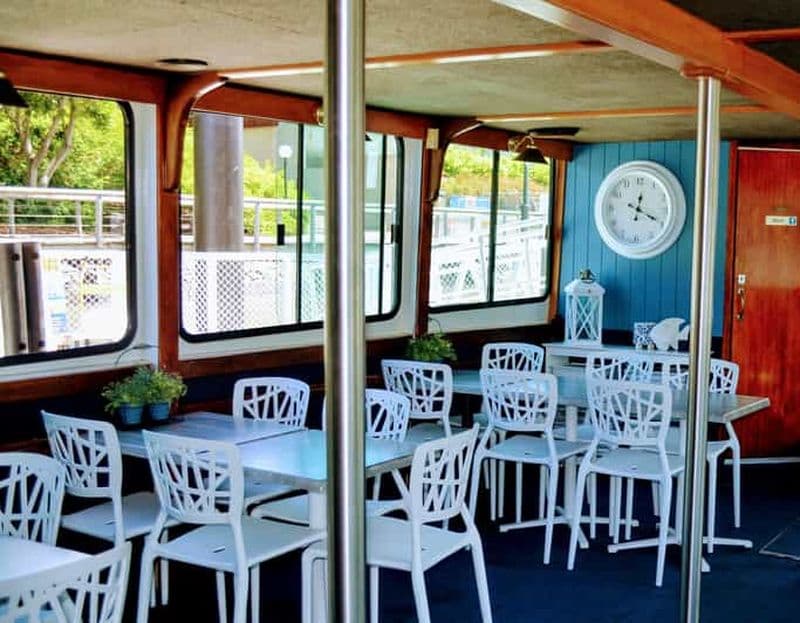 Billet Brisbane : Croisière touristique guidée sur le fleuve à midi