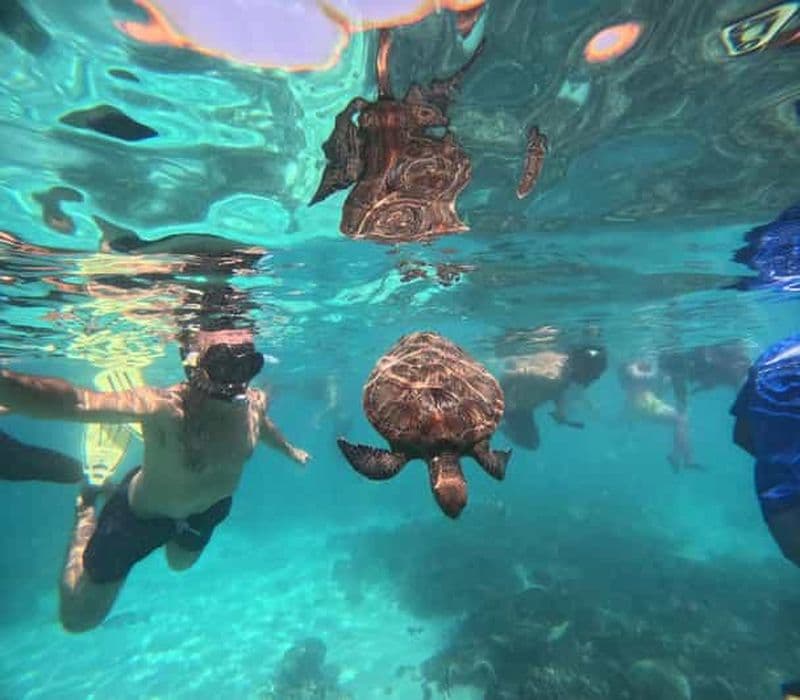 Billet Oman : excursion de plongée avec tuba sur l'île de Daymaniyat avec équipement