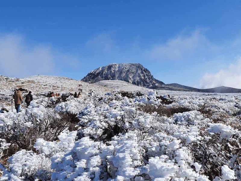 Billet Jeju : visite authentique d'une jounée dans l'ouest et le sud