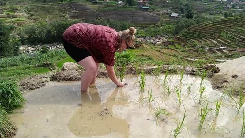 Billet Hanoi-Sapa : randonnée de 3 jours chez l'habitant à la découverte des cultures ethniques