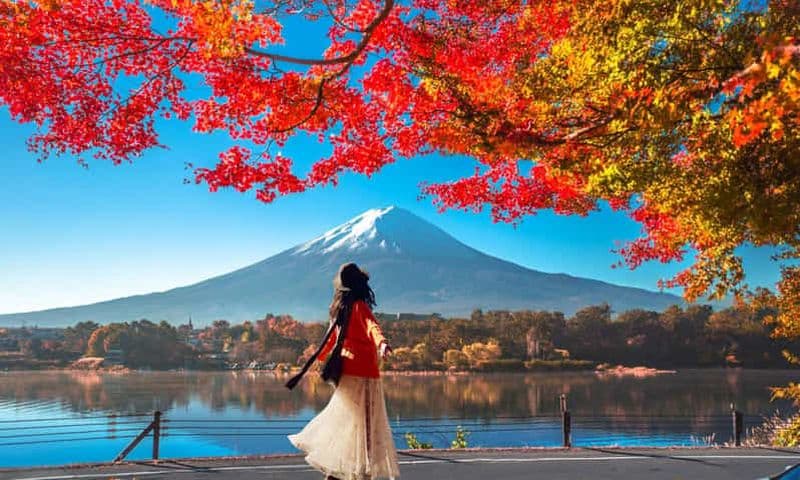 Billet Tokyo : 6 attractions du mont Fuji : lac Kawaguchi, Oshino Hakkai