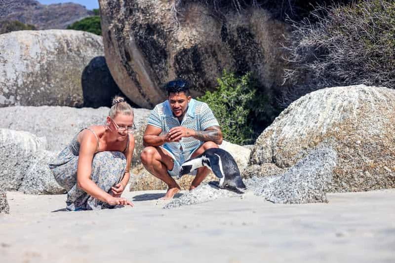 Billet Au départ du Cap : visite d'une demi-journée de la plage de Boulders et des pingouins