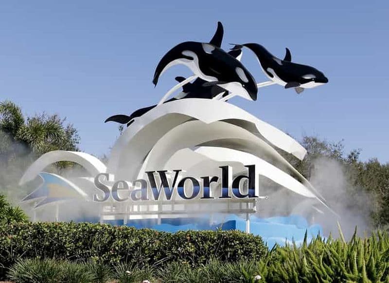 Billet Orlando : Service de navette SeaWorld