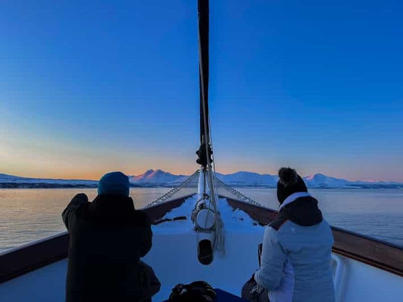 Billet Tromsø : Croisière dans les fjords polaires à bord d'un yacht de luxe avec déjeuner