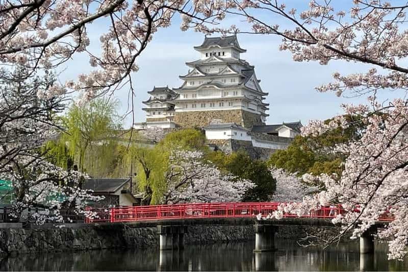 Billet Le meilleur du château de Himeji : visite de 3 heures avec un guide agréé