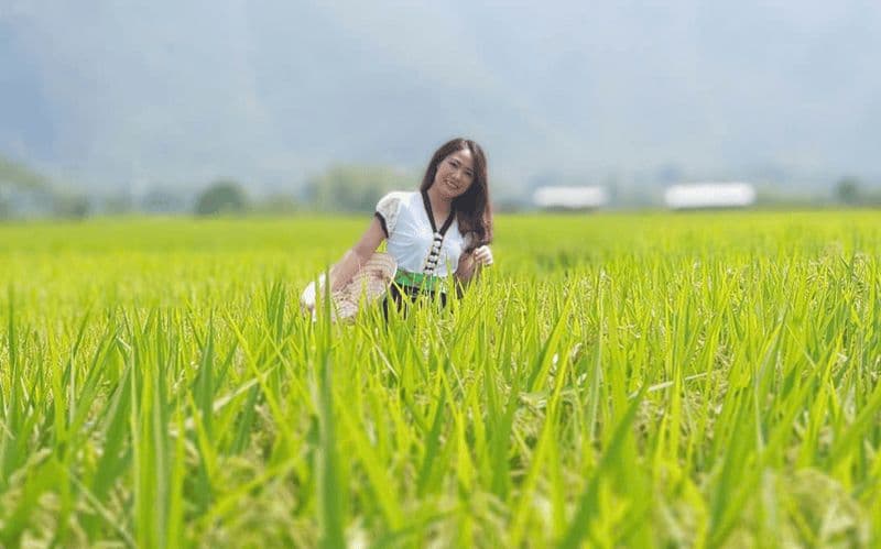 Billet Au départ de Hanoi : visite d'une jounée à vélo à Mai Chau
