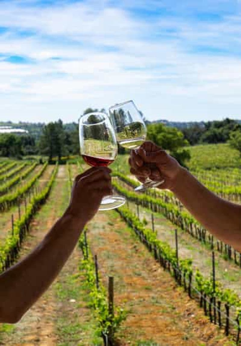 Billet Depuis Albufeira : visite d'une demi-journée des vignobles et de Silves