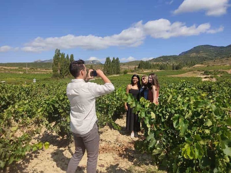 Billet Depuis Pampelune ou Logroño : Excursion d'une journée dans les vignobles de la Rioja avec dégustation