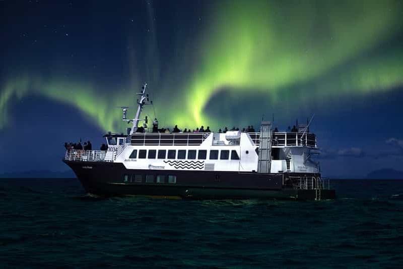 Billet Au départ de Reykjavik : Croisière touristique sur les aurores boréales
