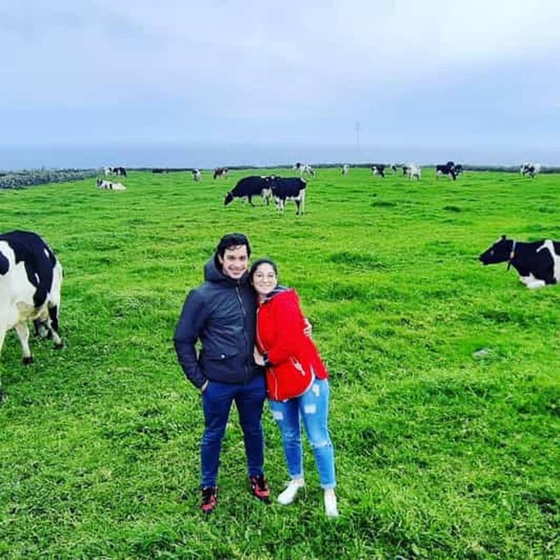 Billet Île de Terceira : excursion d'une journée en van