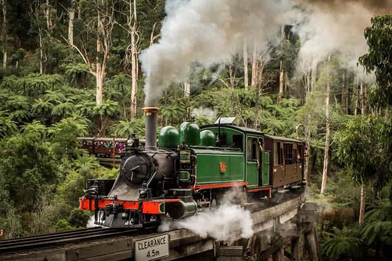 Billet Melbourne : visite privative du zoo et du train Puffing Billy