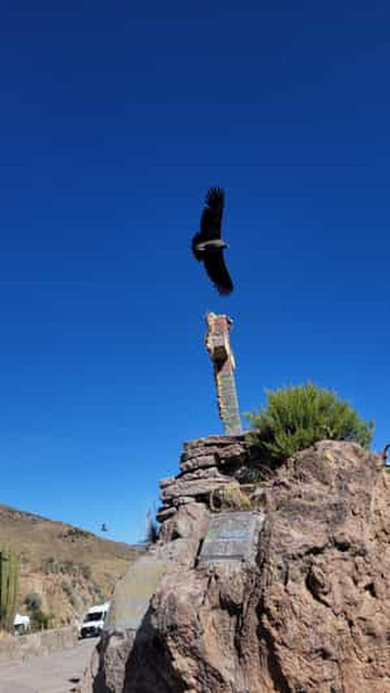 Billet Depuis Arequipa : randonnée d'une journée au canyon de Colca