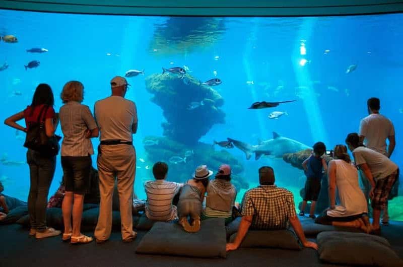 Billet Majorque : Palma Aquarium avec transferts, guide et entrée rapide
