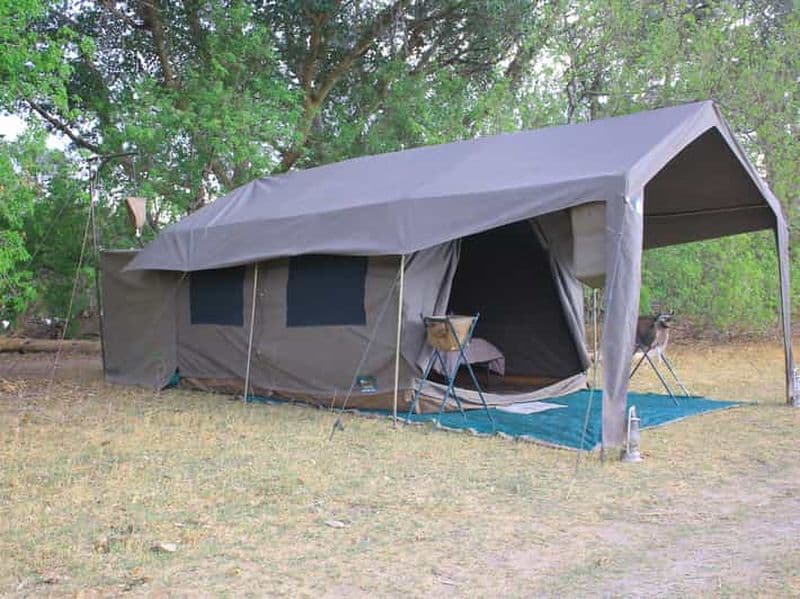 Billet Moremi et Khwai : Safari avec safari et excursion en bateau