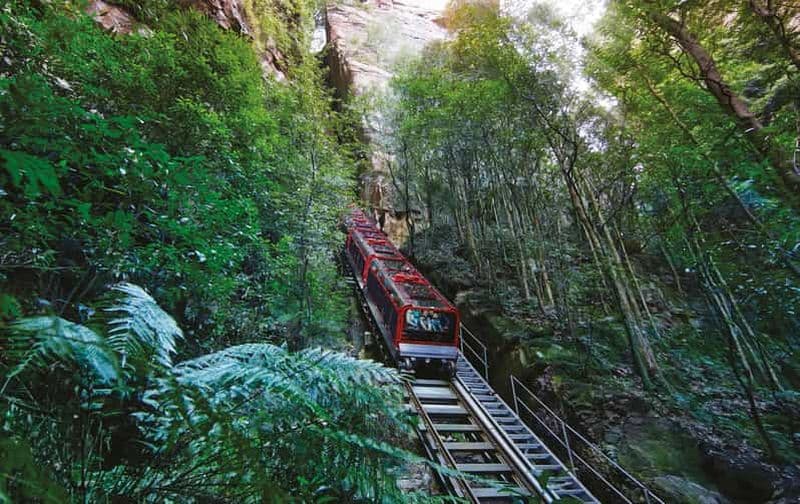 Billet Aventure dans les montagnes bleues : Scenic World, zoo et photo avec koalas
