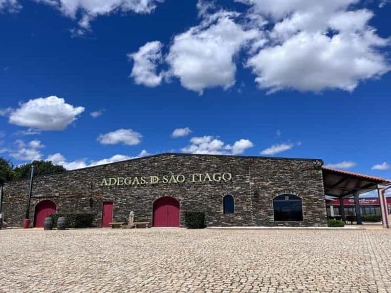 Billet Dégustation de vins et visite de la cave