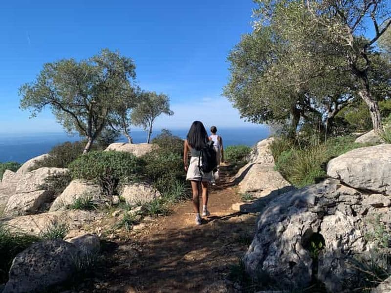 Billet Au départ de Palma : visite de Valldemossa et randonnée vers un point de vue sur les montagnes
