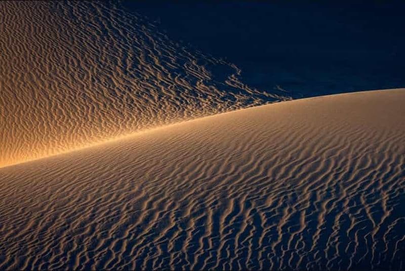 Billet Doha : Safari nocturne dans le désert avec rallye dans les dunes et balade à dos de chameau