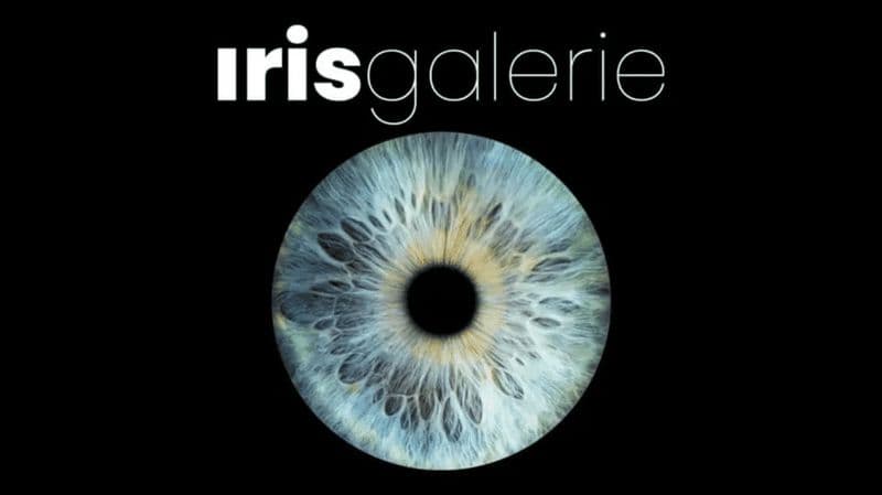 Billet Tromsø : Reveal Your Eye Experience à l'Iris Galerie