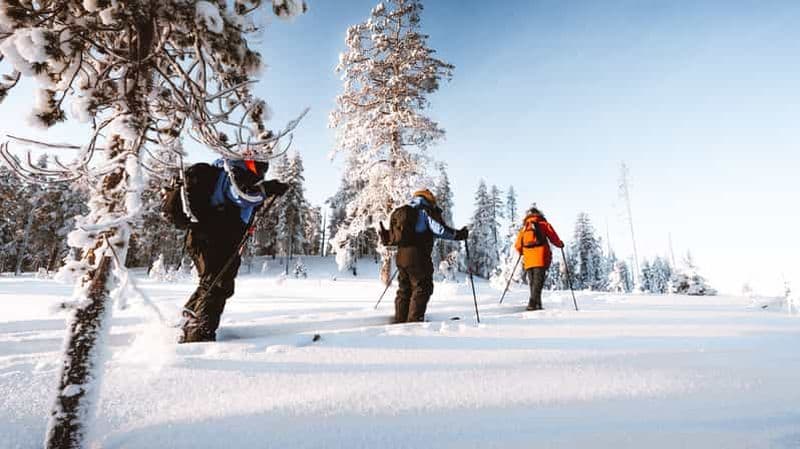 Billet Rovaniemi : safari de ski de randonnée en Laponie