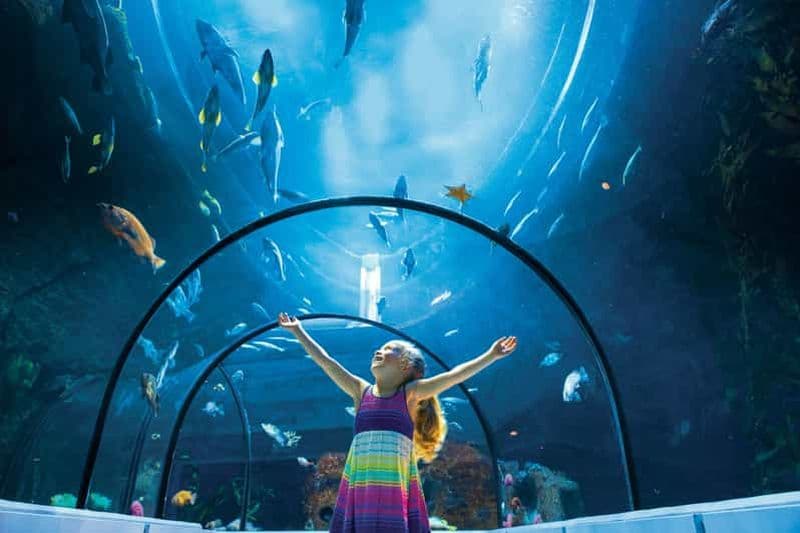 Billet Québec : billet d'entrée à l'Aquarium du Québec