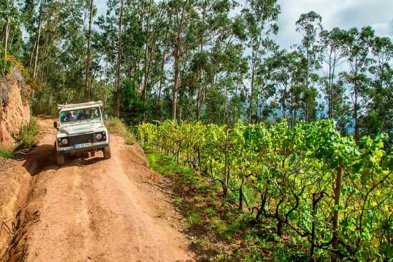 Billet Madère : Wine Safari Jeep Tour avec guide local
