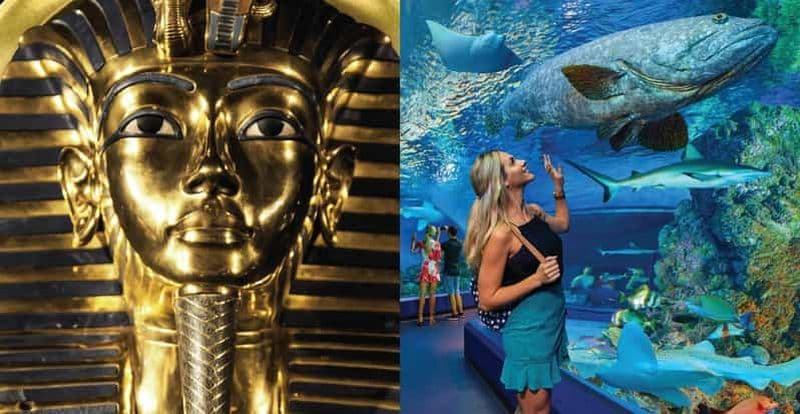 Billet Cairns : billet d'entrée pour l'aquarium et la tombe des pharaons