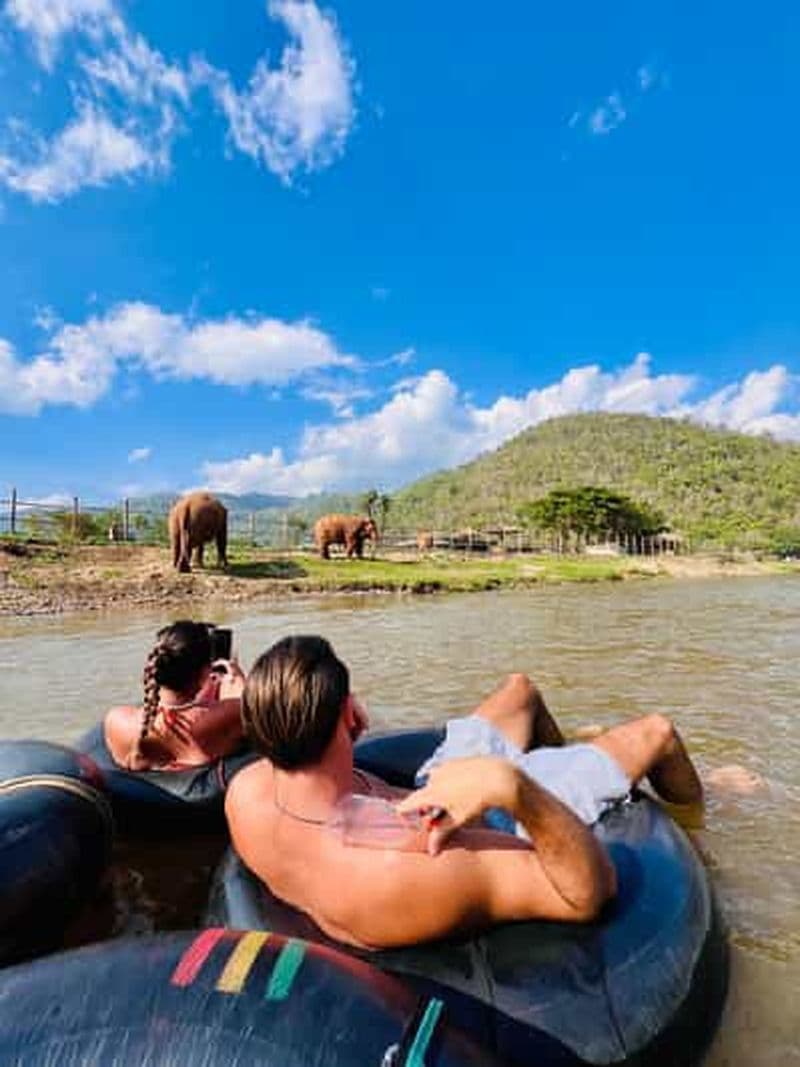 Billet Aventure d'une demi-journée à Chiang Mai : tubing et nourrissage des éléphants