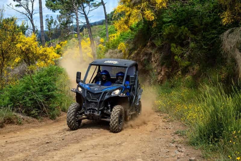 Billet Madère : Trail Thrill Buggy Tour