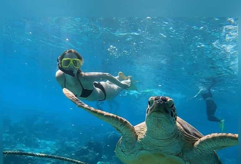 Billet Depuis l'île de Gili : Excursion en groupe/partage de plongée avec tuba 3 îles