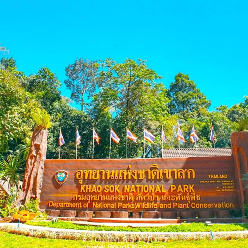 Billet Khao Lak : randonnée dans le parc national de Khao Sok et rafting en bambou