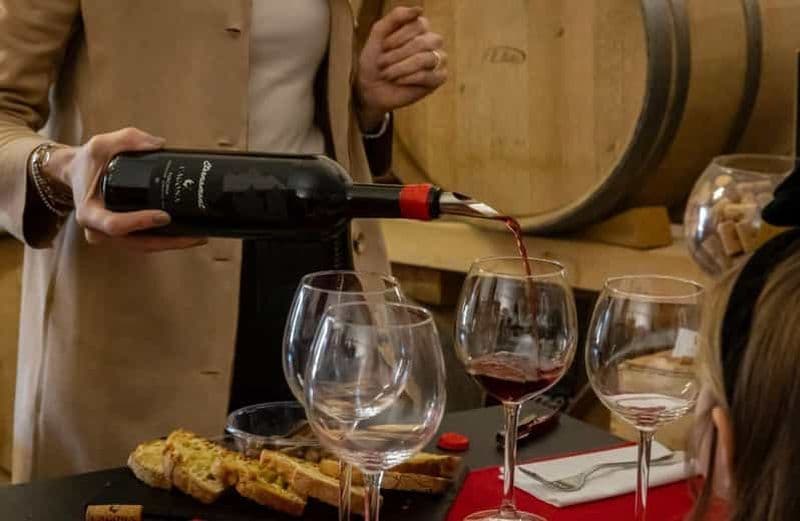 Billet Soiana : visite du vignoble et de la cave avec dégustation de vins près de Pise