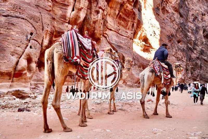 Billet Au départ d'Amman, visite privée d'une journée à Pétra