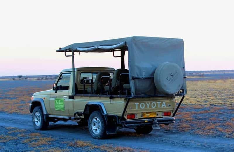 Billet Au départ de Maun : 3 jours de safari dans la réserve de Moremi