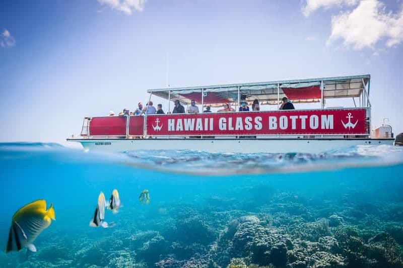 Billet Honolulu : Tour en bateau à fond de verre le long de la côte sud d'Oahu