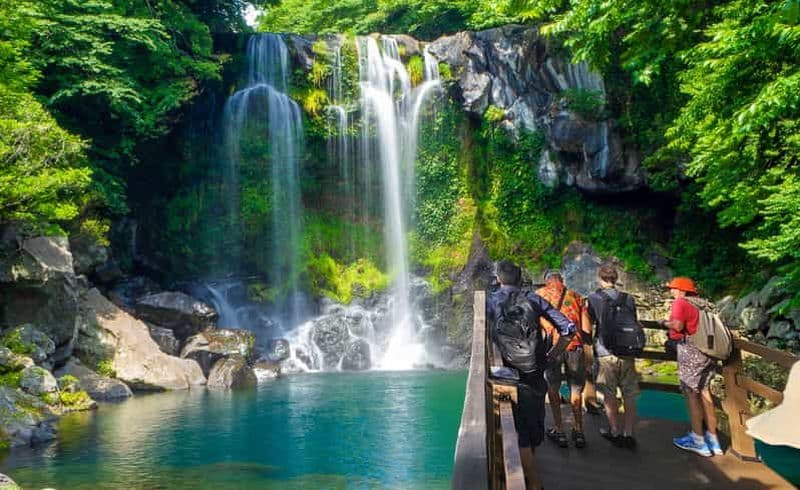 Billet Île de Jeju : visite d'une journée des temps forts du sud-ouest de l'UNESCO