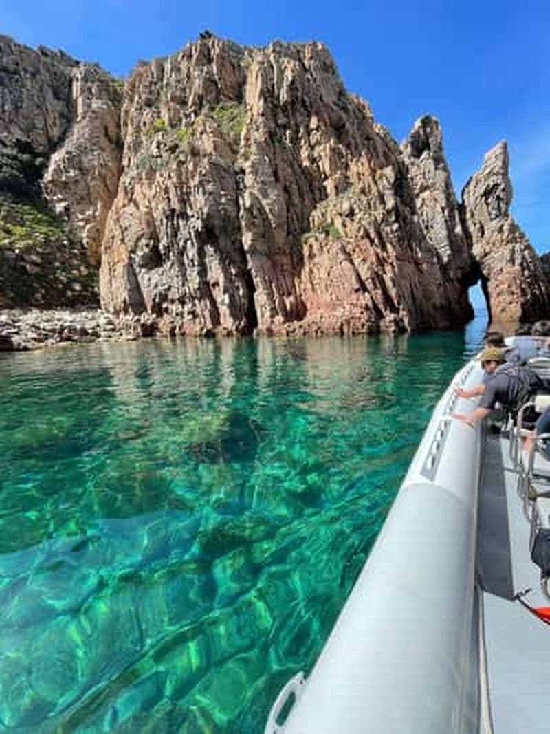 Billet Depuis Sagone/Cargèse : croisière vers Scandola et les calanques de Piana