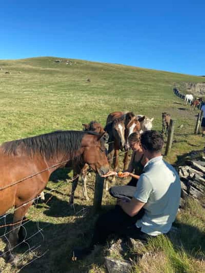 Billet Au départ de Doolin : Promenade guidée sur les falaises de Moher