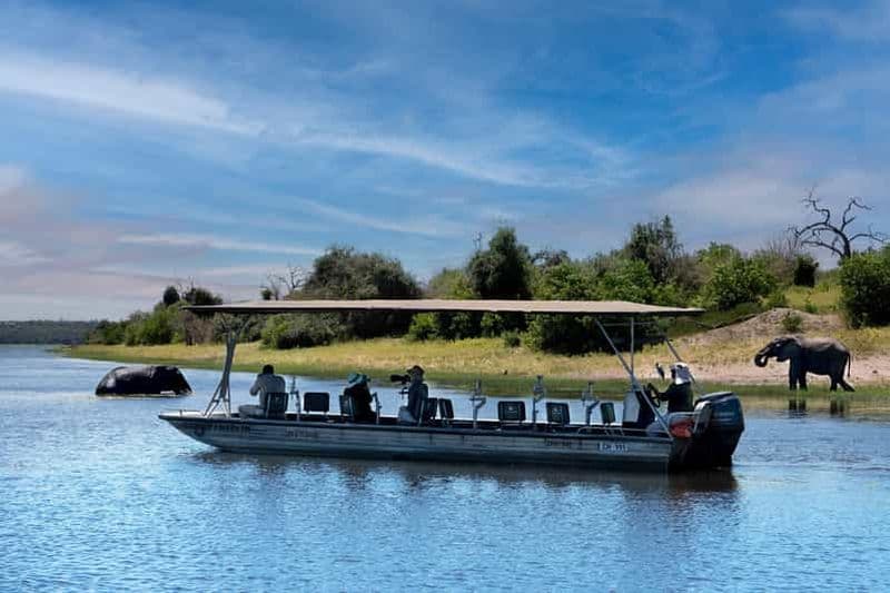 Billet Chutes Victoria/Kasane : excursion au parc national de Chobe