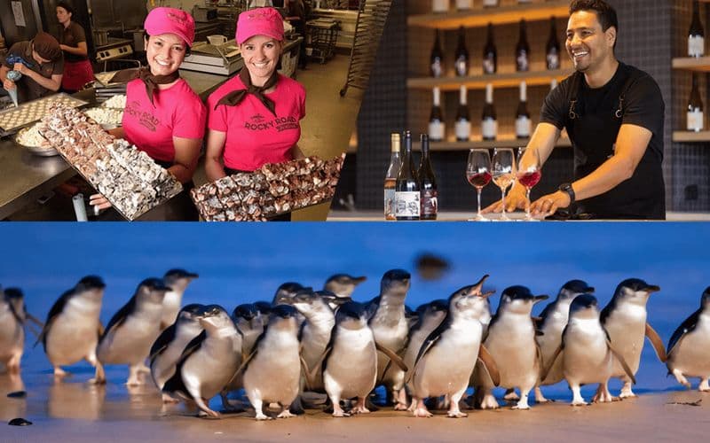 Billet Melbourne : Découvrez la Parade des Pingouins et la Vallée de Yarra avec une Visite de Vignobles et de Chocolateries