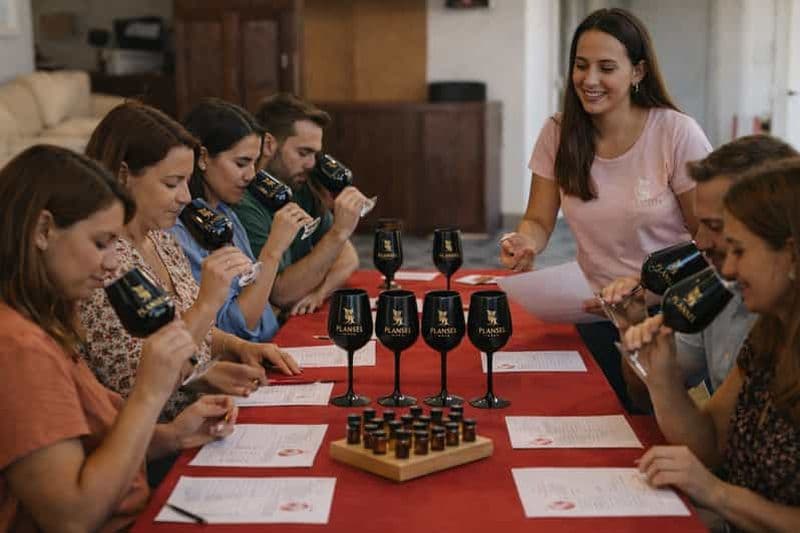 Billet Quinta da Plansel : visite et dégustation de vin à l'aveugle