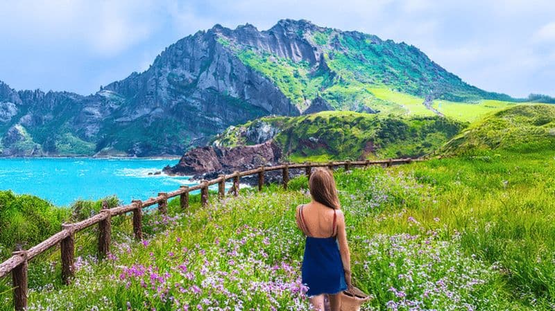 Billet Jeju : excursion d'une journée dans les sites classés au patrimoine mondial de l'UNESCO à l'est de Jeju