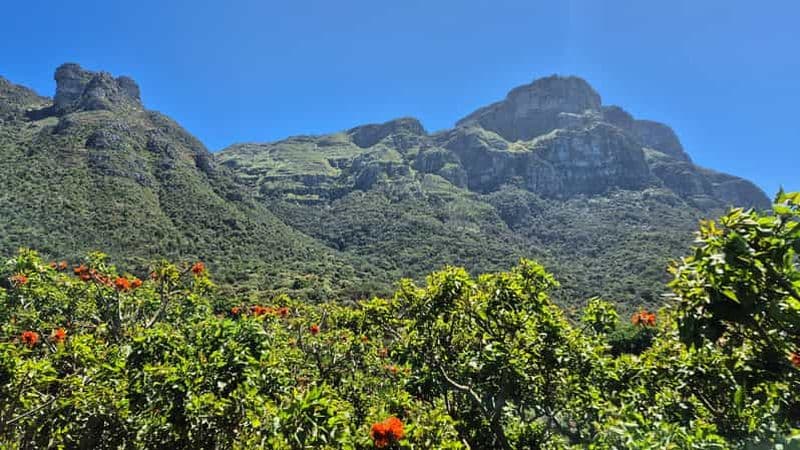 Billet Promenade de Kirstenbosch à Constantia | Dégustation de vin et collations