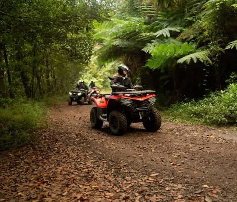Billet Madère : Aventura Off-Road de ATV ou Quad - Adrenalina