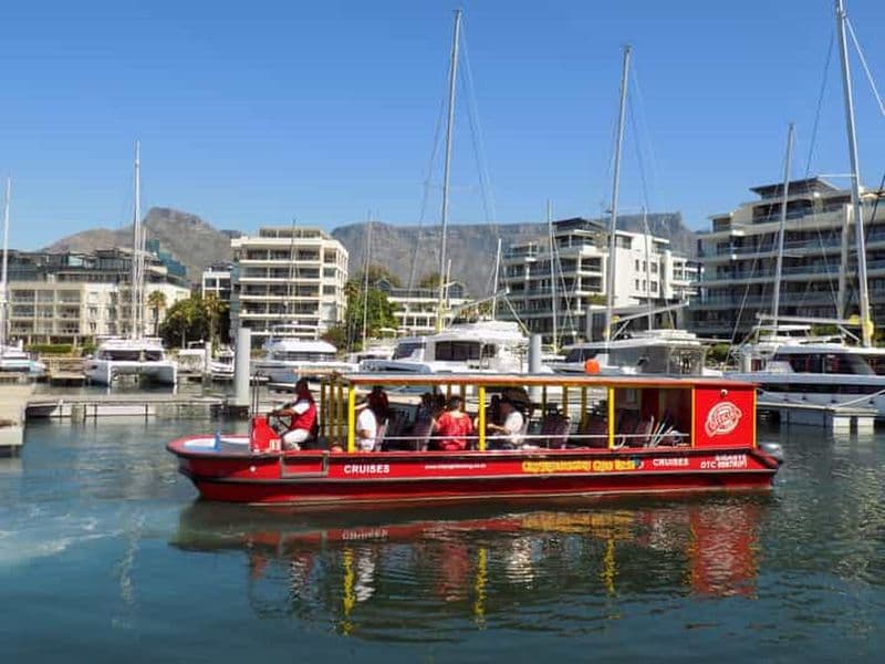 Billet Le Cap : 30 minutes de croisière dans le port pour observer les phoques
