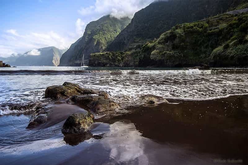 Billet Visite d'une jounée de l'ouest de l'île de Madère avec la forêt du Fanal