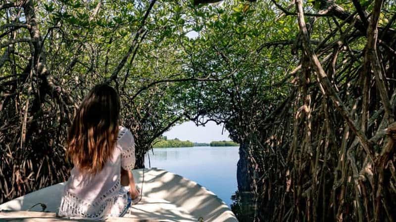 Billet Bentota : Safari tout compris au fort hollandais de Galle et à la rivière Madu