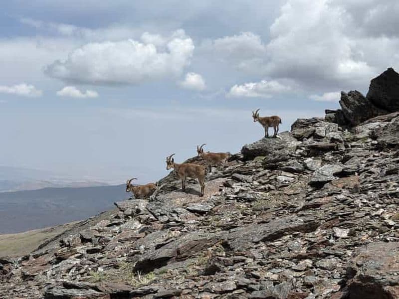 Billet Au départ de Grenade : randonnée dans la haute Sierra Nevada