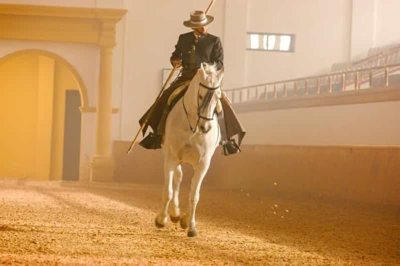 Billet Jerez de la Frontera : comment dansent les chevaux andalous